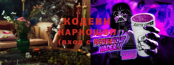 дмт Богородицк
