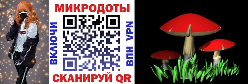 Псилоцибиновые грибы мухоморы  купить   Гулькевичи 
