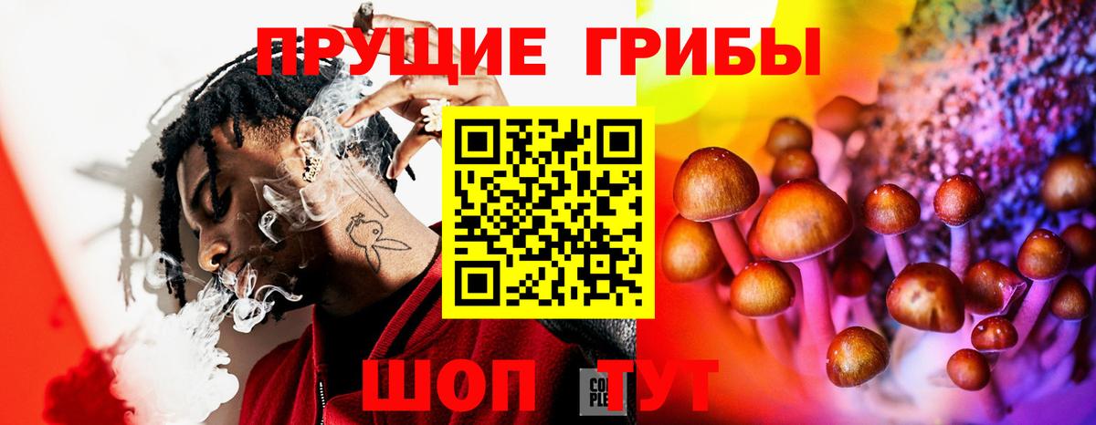 купить наркотик  Вход с VPN  Псилоцибиновые грибы GOLDEN TEACHER  Гулькевичи  Псилоцибиновые грибы прущие грибы 